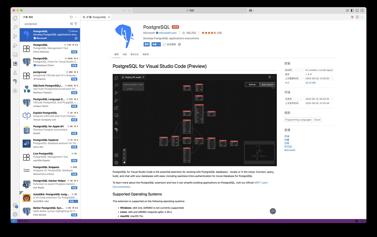 pggui-vscode.jpg